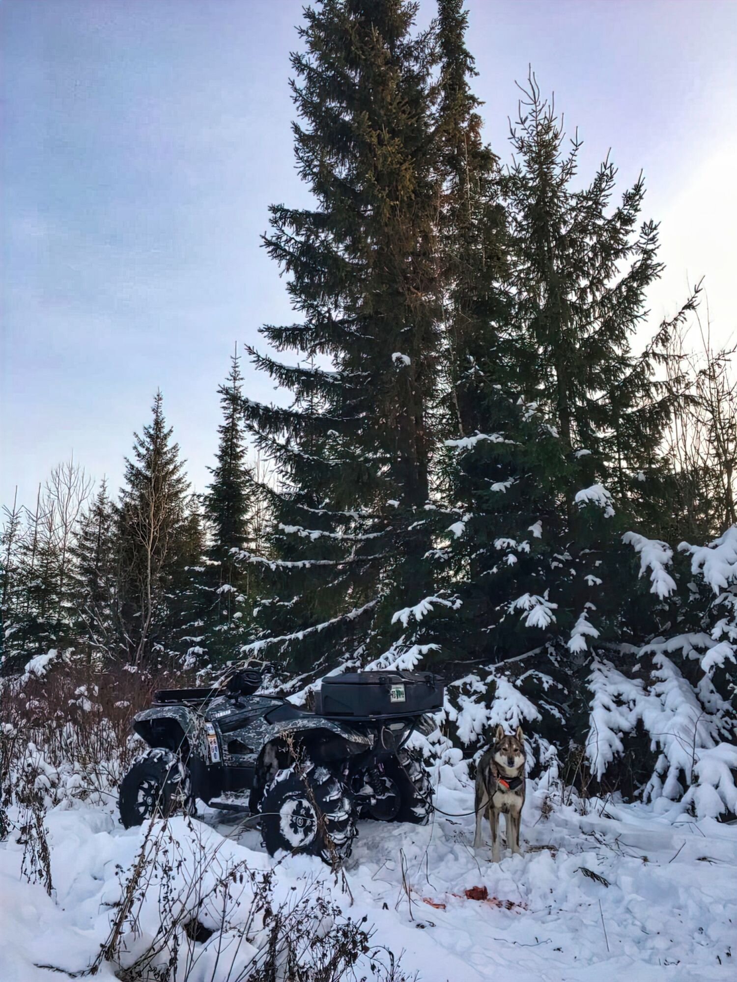 Digital Camo на YAMAHA GRIZZLY 700/EPS 2016+