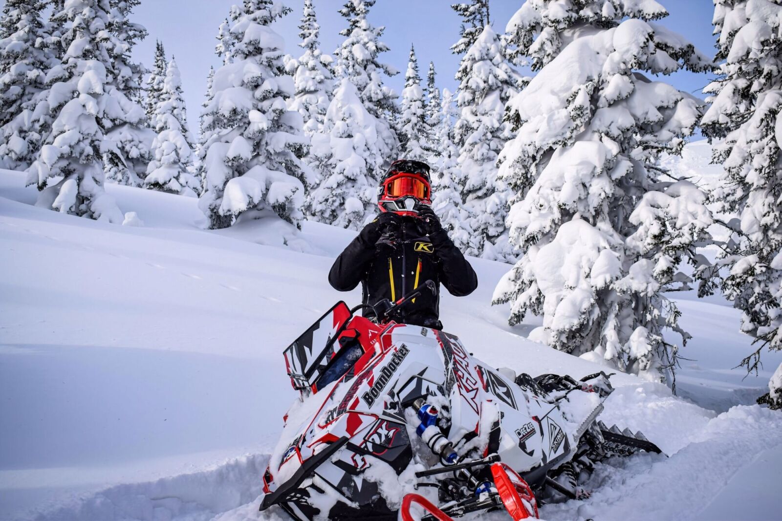 Grizzly на POLARIS AXYS-RMK