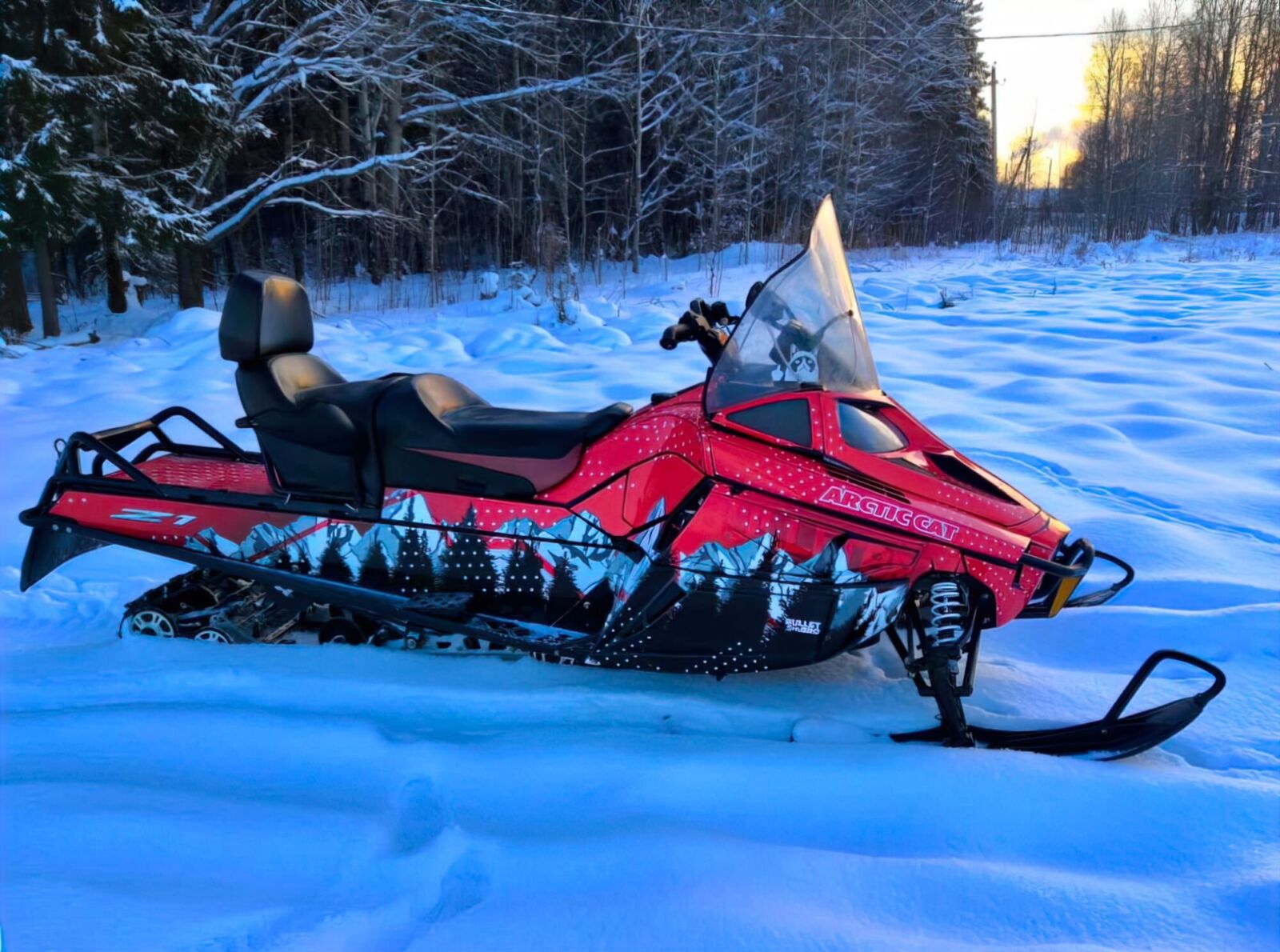 Boondocker на ARCTIC CAT BEARCAT