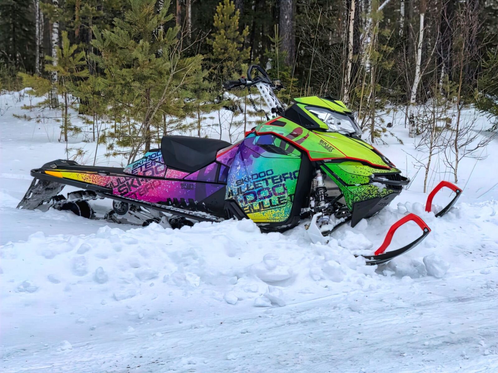 Future на SKI-DOO REV-XM