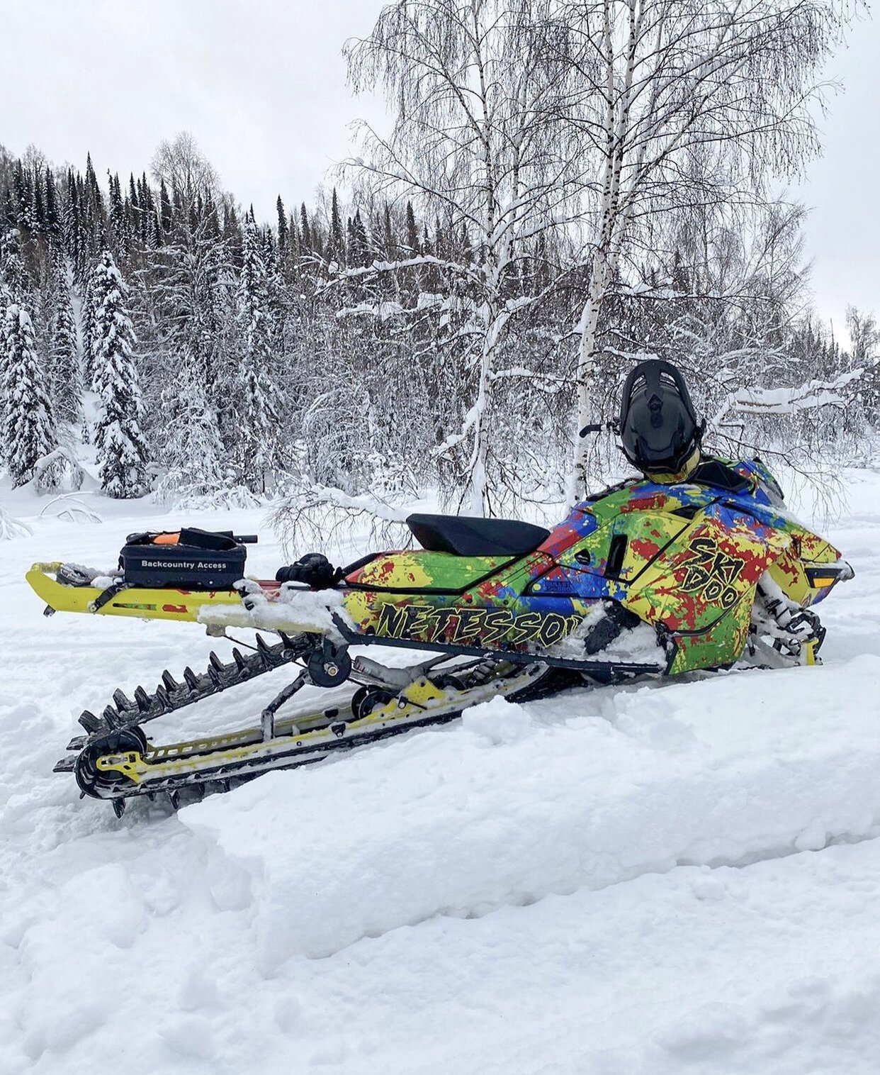 Paint Sports на SKI-DOO REV-GEN4