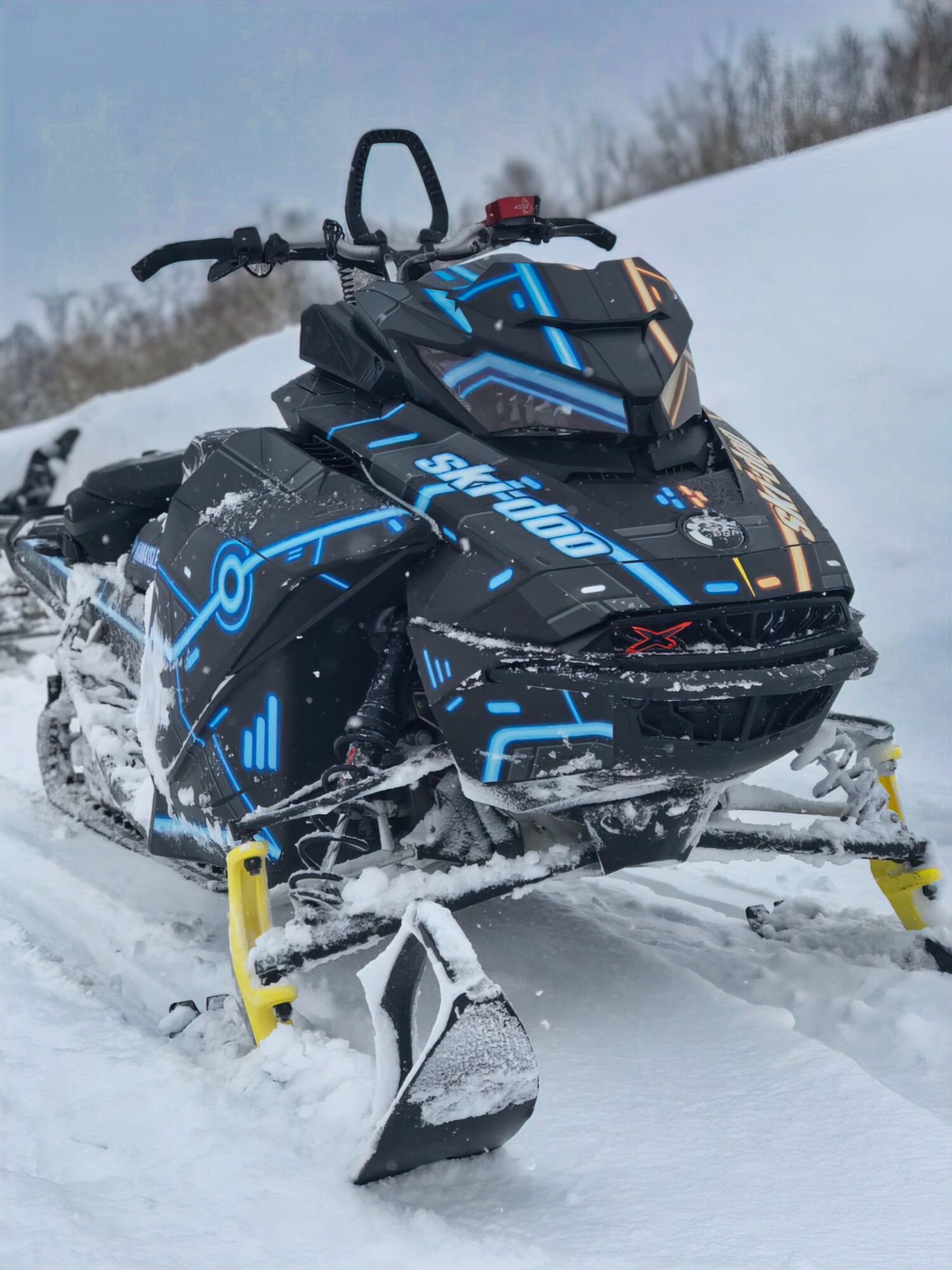 Индивидуальный дизайн на SKI-DOO REV-GEN4
