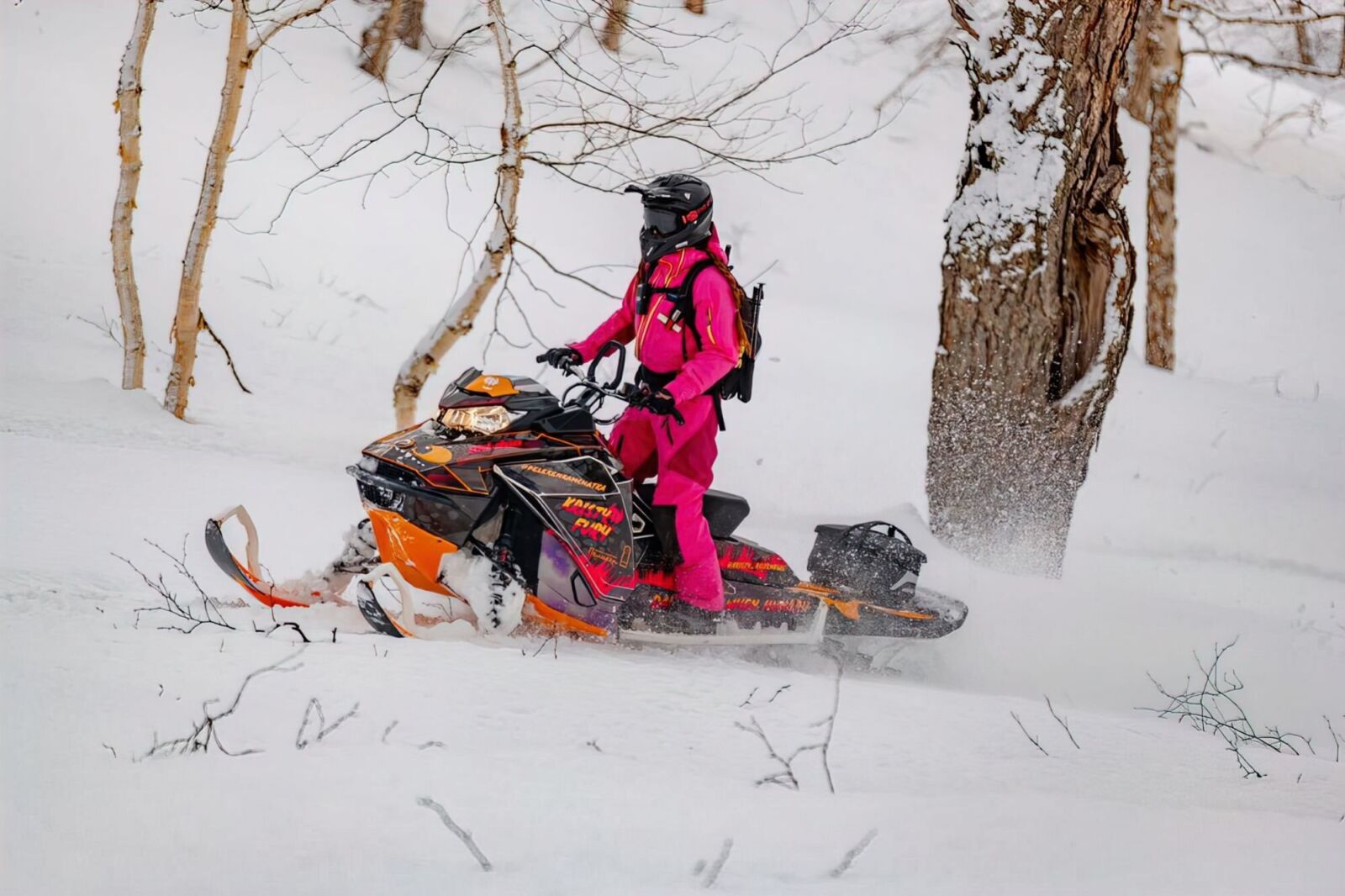 Индивидуальный дизайн на SKI-DOO REV-GEN4