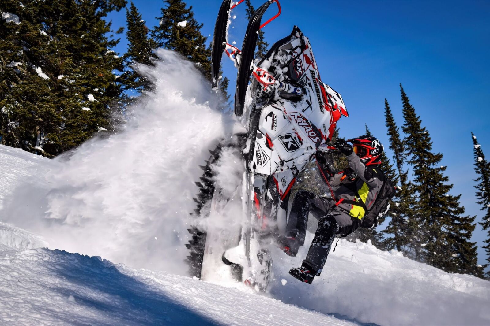 Grizzly на POLARIS AXYS-RMK
