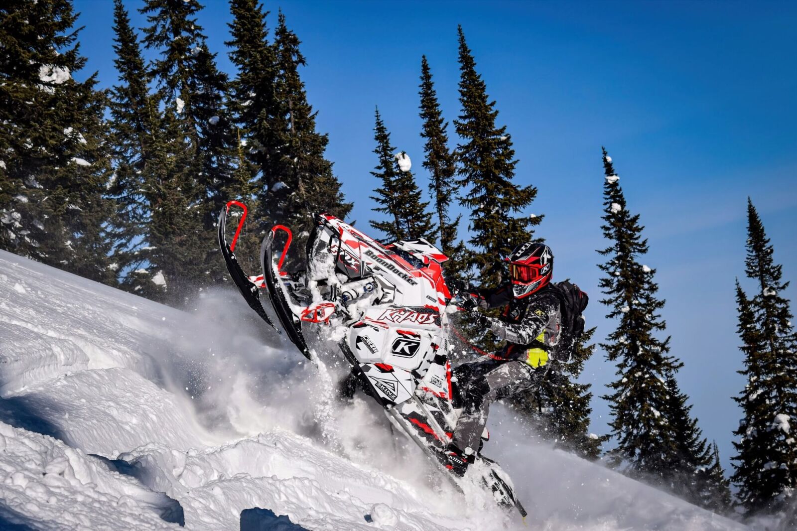 Grizzly на POLARIS AXYS-RMK