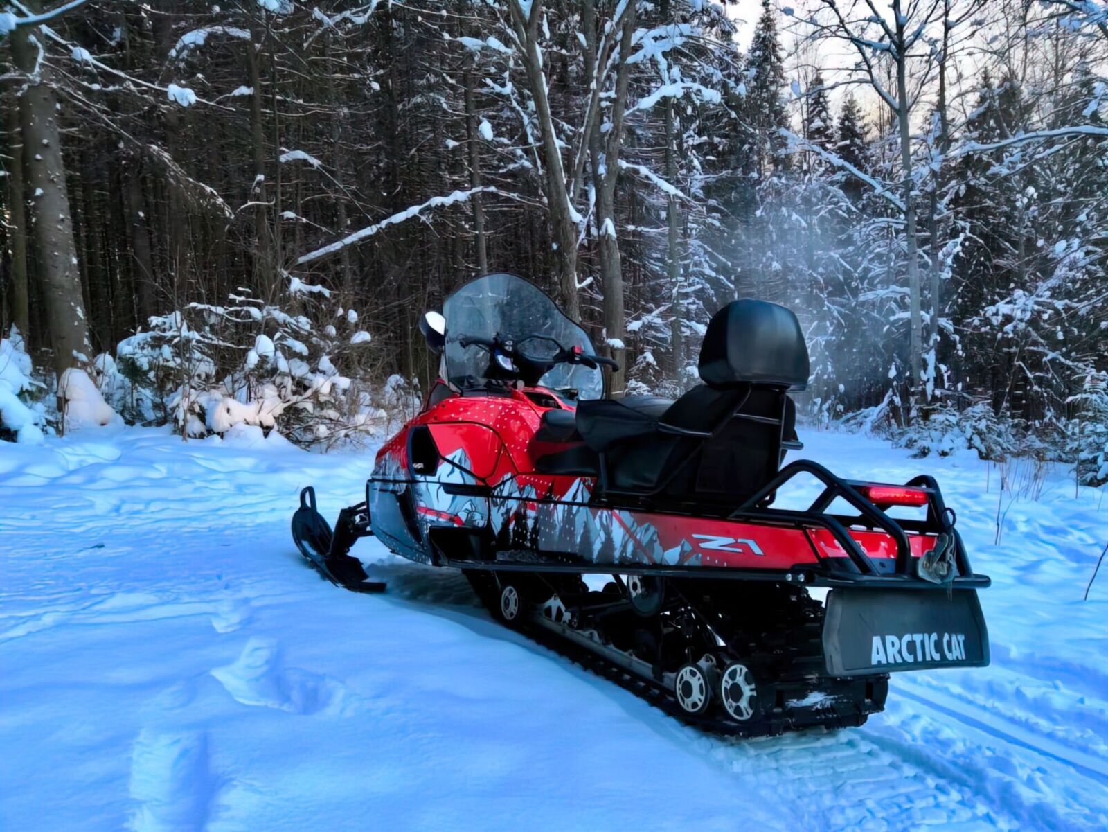 Boondocker на ARCTIC CAT BEARCAT